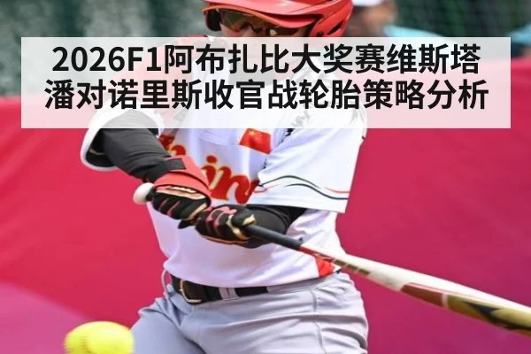 2026F1阿布扎比大奖赛维斯塔潘对诺里斯收官战轮胎策略分析 - ng28
